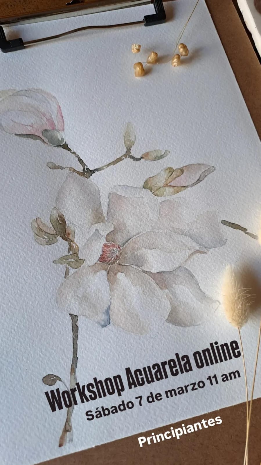 Workshop 7 marzo workshop Abril Collage